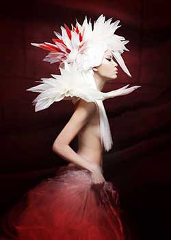 Capelli Ricrescita by ERIKA FUNG